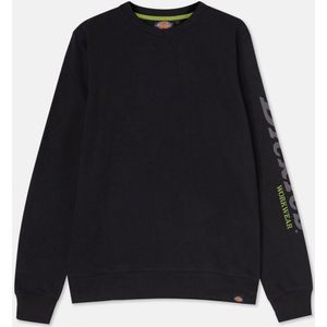 Dickies Herren Sweatshirt Okemo Graphic Sweatshirt (Bci) Black-XL