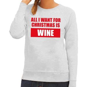 Foute kersttrui / sweater All I Want For Christmas Is Wine grijs voor dames - Kersttruien M