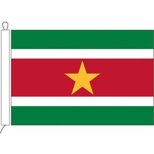 Surinaamse vlag van Suriname 20 x 30 cm