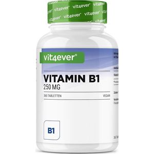 Vit4ever - Vitamine B1 - Hoge Dosering - 250 mg - 365 Tabletten