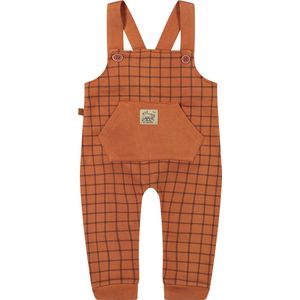 Frogs and Dogs- Tuinbroekje checks print - Bruin - Maat 74