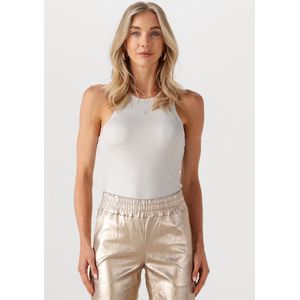 Ibana Tamilia Dames - Topjes - Zilverkleurig - Maat 40