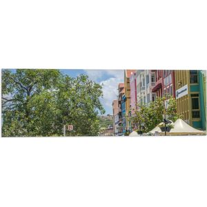 WallClassics - Vlag - Gekleurde Huisjes op Curacao - 60x20 cm Foto op Polyester Vlag