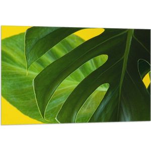 Vlag - Grote Groene Bananenbladeren tegen Okergele Achtergrond - 105x70 cm Foto op Polyester Vlag
