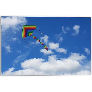 Forex - Gekleurde Vlieger in Blauwe Lucht - 60x40cm Foto op Forex