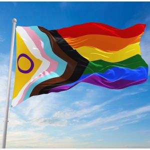 Progress pride vlag - Intersekse - Intersex - Regenboogvlag - 90 x 150 cm - LHBTIQA+