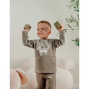 Noukie's - Pyjama - Kaki - 2 delig - Zebra - 2 jaar