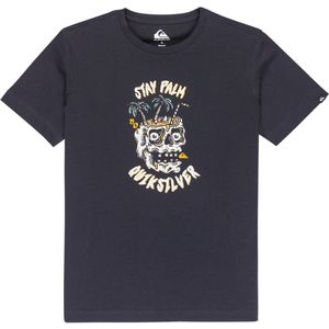 Quiksilver Ev Stay Palm T-shirt Met Korte Mouwen Blauw 14 Years Jongens