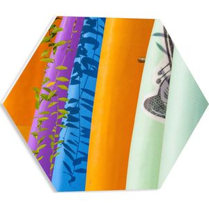 PVC Schuimplaat Hexagon - Rij Verschillende Kleuren Surfboards - 40x34.8 cm Foto op Hexagon (Met Ophangsysteem)