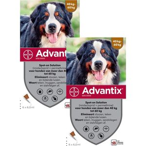 Bayer Advantix Vlooien & Teken Pipetten - Hond 40 tot 60kg - 2 x 6 stuks