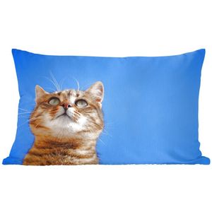 Sierkussen Katten voor binnen - Kat met blauwe lucht - 60x40 cm - rechthoekig binnenkussen van katoen