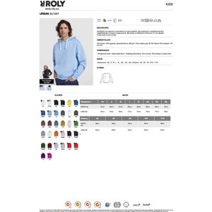 Zwarte unisex hoodie met “ Kleurrijke Grijze poes met tennis racket – Sportief “ Print Full Color merk Roly maat XXL