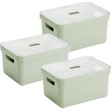 Sunware Sigma Home Opbergbox 5L - 3 Boxen + 3 Deksels - Groen/transparant