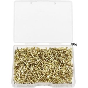 Nagelset aan de Muur, Platte Kopspijkers, Foto Ophangen Spijkers, Wandnagels, Hardware Spijker Assortimentset 800/900
