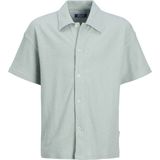 Overhemden - Lichtblauw - 100% Katoen - Loose Fit