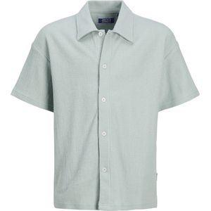 Overhemden - Lichtblauw - 100% Katoen - Loose Fit