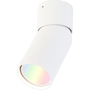 QAZQA falo - Moderne Dimbare LED Smart Plafondspot | Spotje | Opbouwspot incl. wifi met Dimmer - 1 lichts - L 10.8 cm - Wit - Woonkamer | Slaapkamer | Keuken