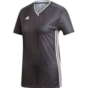 Adidas Tiro 19 Shirt Korte Mouw Dames - Donkergrijs / Wit | Maat: XS