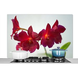 Spatscherm keuken 120x80 cm - Kookplaat achterwand Rode orchideeën tegen een witte achtergrond - Muurbeschermer - Spatwand fornuis - Hoogwaardig aluminium