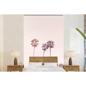 Palmbomen - Zon - Natuur - Lucht - Behangpapier