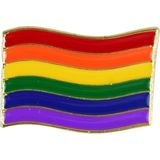 Regenboog gay pride kleuren metalen pin/broche/badge 4 cm - Regenboogvlag LHBT accessoires