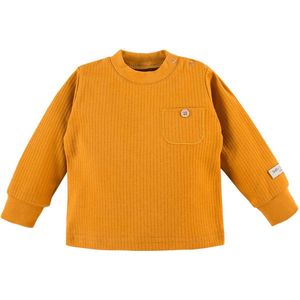 Eevi - Shirtje/Trui - Mosterd - Maat 62 - 2 t/m 4 maanden