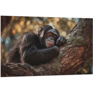 Vlag - Rustende Chimpansee Aap op Dikke Boomstronk - 120x80 cm Foto op Polyester Vlag