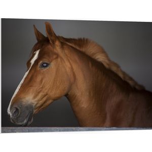 PVC Schuimplaat- Zijaanzicht van Bruin Paard met Witte Bles - 100x75 cm Foto op PVC Schuimplaat