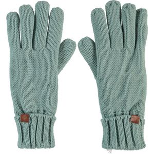 Handschoenen dames winter - Gebreid - One size - Groen - Ski