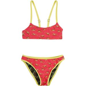 Claesen's - girls bikini - reversible - roze groen - maat 14 / 164-170