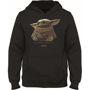 Star Wars The Mandalorian - Zwarte Sweater The Child Unknown Species - 14 jaar