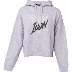 Guess - Iconic Hood - Hoodie - Grijs
