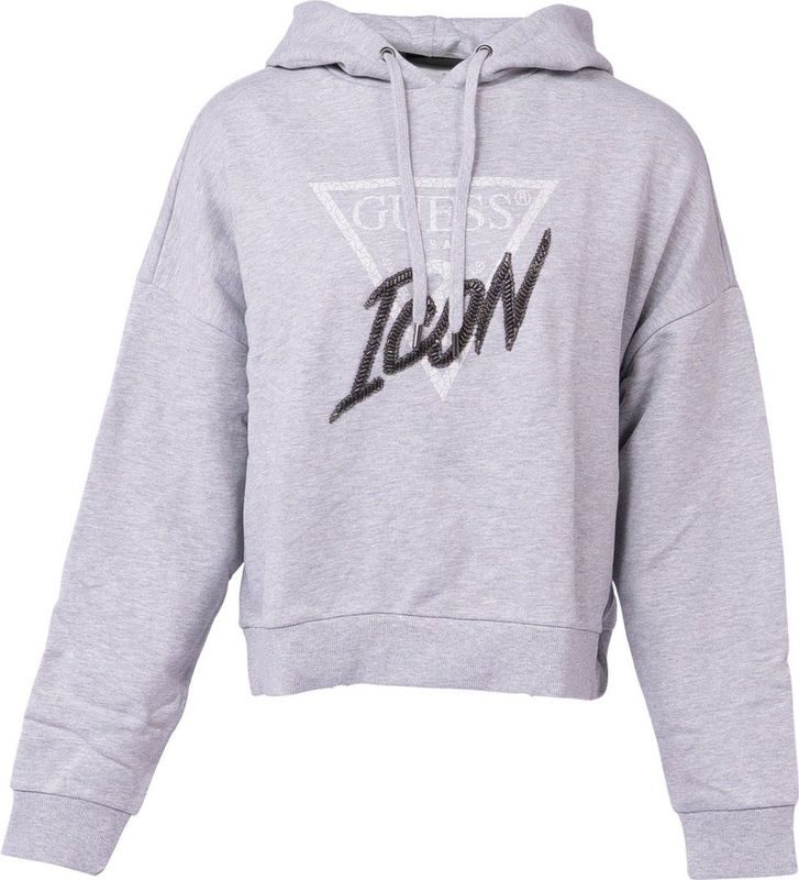Guess - Iconic Hood - Hoodie - Grijs