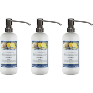 Handzeep Fresh Ginger 1 liter - set van 3 stuks - met gratis RVS zilverkleurige pomp - Voordeelverpakking