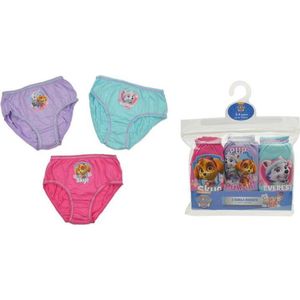 Paw Patrol ondergoed Skye & Everest | 3 pack leeftijd 2-3jaar