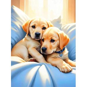 Diamond painting - Diamond painting volwassenen - Diamond painting kinderen - Diamond painting pakket volledig - Diamond painting Hond- Huisdieren 30 x 40 cm