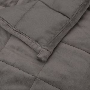 The Living Store Verzwaringsdeken Grijs - 220 x 235 cm - Hypoallergene vulling - 15 kg