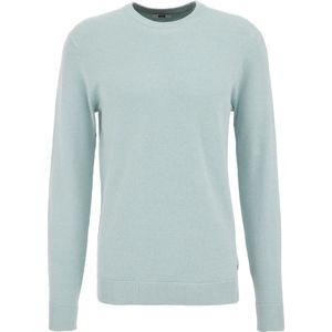 WE Fashion Heren Regular fit trui met structuur