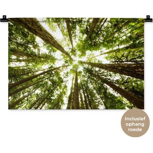 Wandkleed Jungle - Hoge groene bomen in jungle Wandkleed katoen 60x40 cm - Wandtapijt met foto