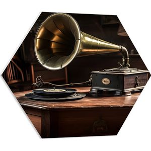 PVC Schuimplaat Hexagon - Platenspeler - Hout - Goud - Muziek - Oud - 60x52.2 cm Foto op Hexagon (Met Ophangsysteem)