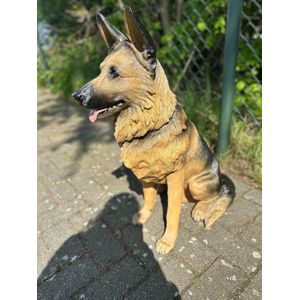 Goodyz- Huisdieren - Honden - Herder - Herders hond - Duitse Herder- super mooi beeld - zittend - 70cm hoog -Zwart/Bruin