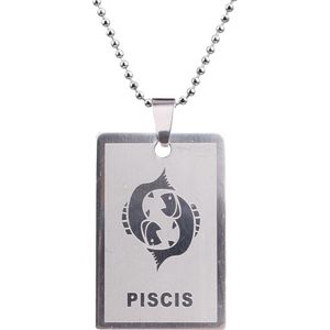 Fako Bijoux® - Ketting - RVS Hanger - Sterrenbeeld Rechthoek - Vissen
