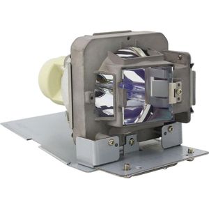 BenQ 5J.JE905.001, PRM-42-45-LAMP, 5811119560-SVV Vivitek Projector Lamp (bevat originele P-VIP lamp)