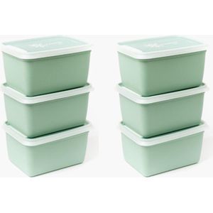 Amuse® | 6 x 1000 ml Alaska BIO Diepvriesdoos Groen | 6 stuks | 70% gemaakt van suikerriet | Vershoudbak