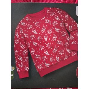 Kinder Sweater Trui - 110/116 4-6 Jaar - Kerst Trui - Rendieren - Rood