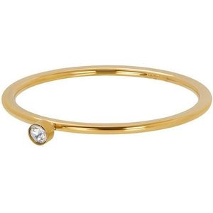 iXXXi - Vulring - Goud - 1 mm - Zirconia 1 Stone Crystal