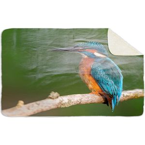 Fleecedeken Ijsvogel, FD2023206, Plaid, 96x146cm, Polyester Sherpa