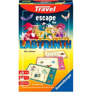 Escape the Labyrinth travel board game