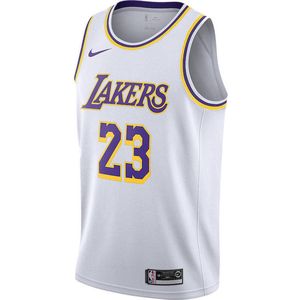 Nike Los Angeles Lakers LeBron James Association Jersey - Maat XXL