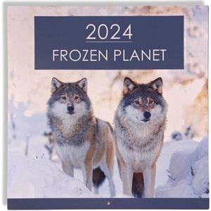 2024 Frozen Planet Maandkalender - 28x28,5cm - Sneeuwdierenkalender - omslagkalender